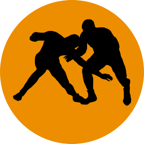 Kabaddi API Image